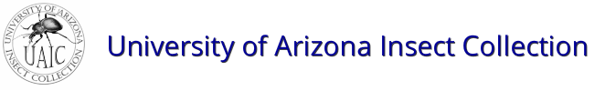 University of Arizona Insect Collection